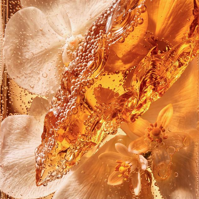 Sheridan Coast Candle - Champagne, Amber & Orange Blossom