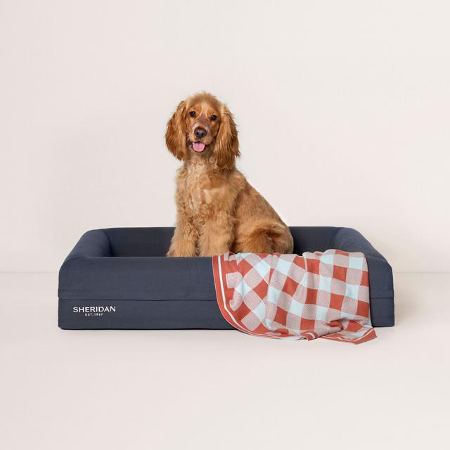 Sheridan Scout Pet Blanket