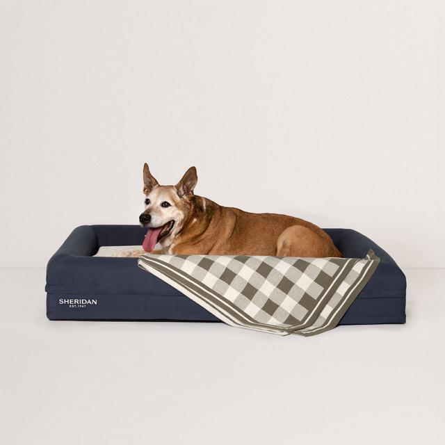 Sheridan Scout Pet Blanket