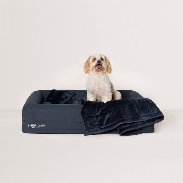 Sheridan Poppet Pet Blanket