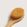 beech