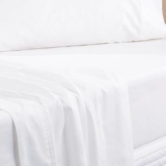 Sheridan Everyday Cotton 250tc Fitted Sheet (White)