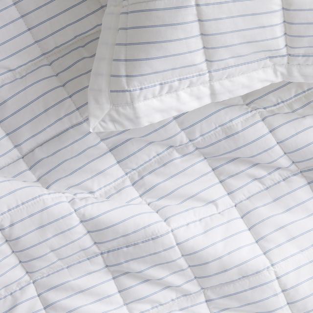 Sheridan Everyday Cotton Stripe European Sham
