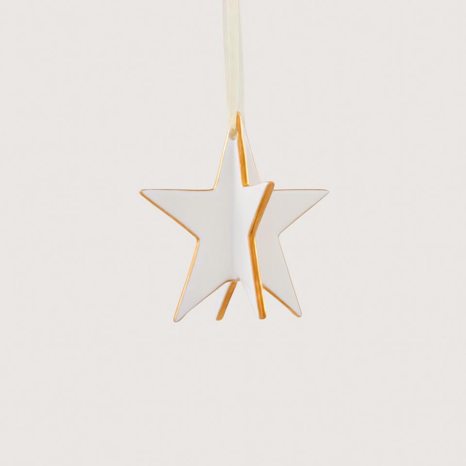 Gold Tip Star in White